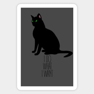 I Do What I Want Kitty Magnet